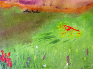 Ray's Field
