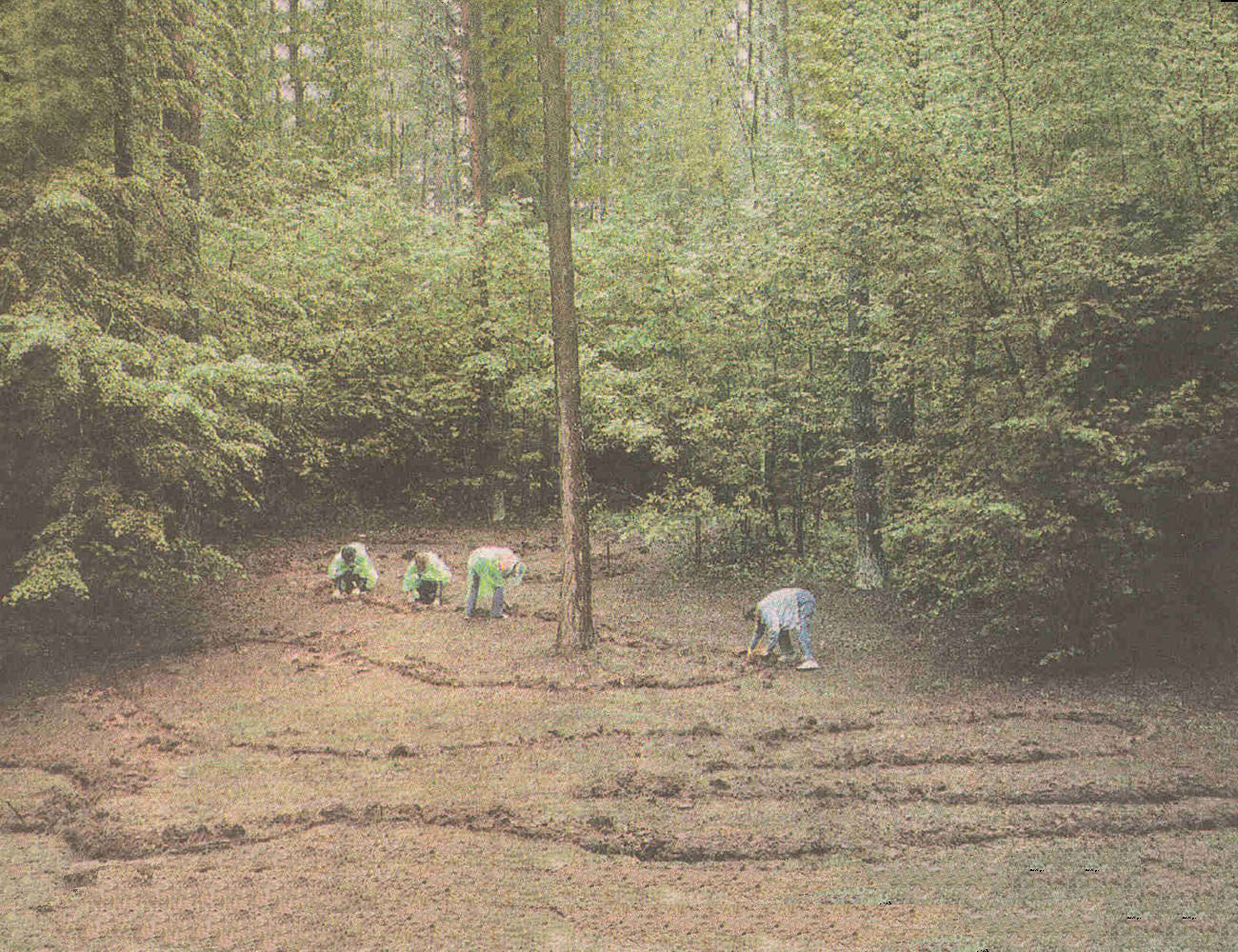 Voices Underground Planting